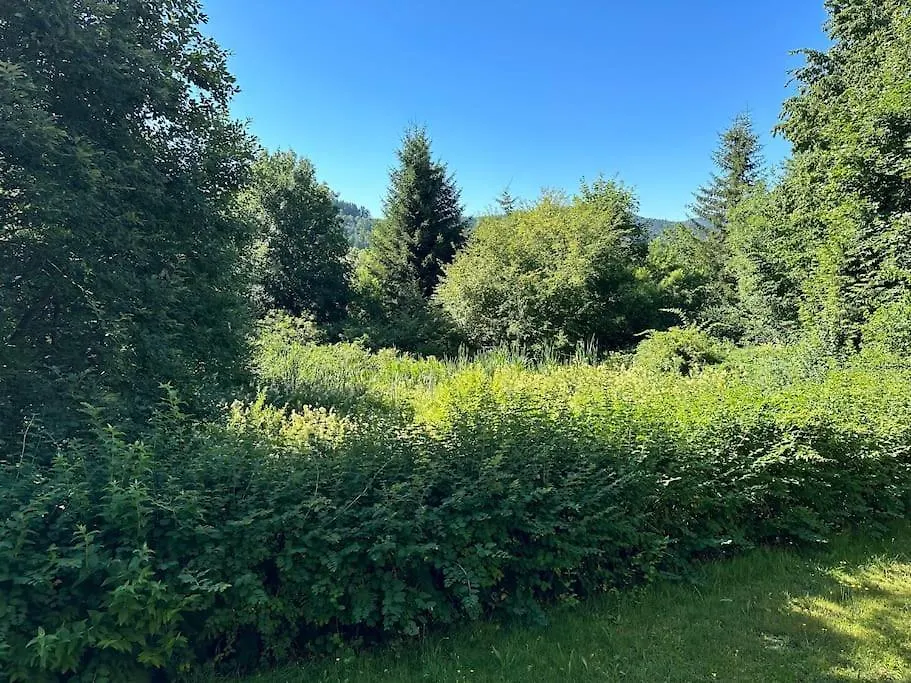 Apartment Gemuetliche Ferienwohnung Mit Blick Ins Gruene Zwiesel