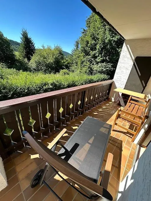 Apartment Gemuetliche Ferienwohnung Mit Blick Ins Gruene Zwiesel